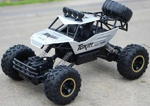 ZWN 4WD RC Buggy Car With Led Lights 2.4G